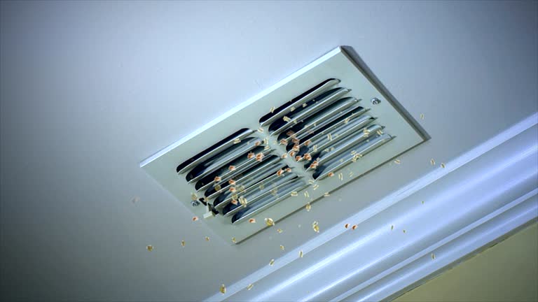 Reliable Prunedale, CA Airduct Cleaning Solutions
